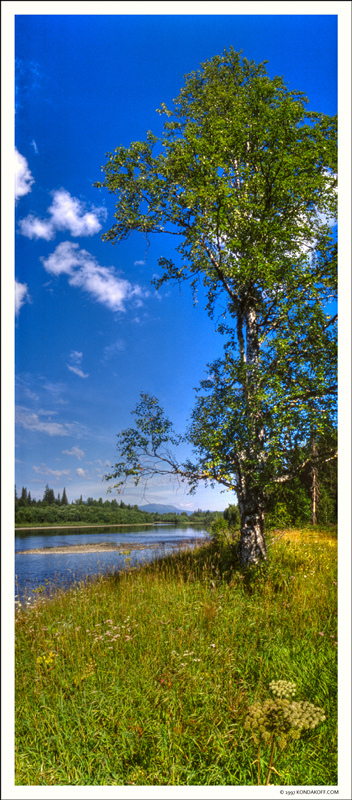 Ural_mountains_1