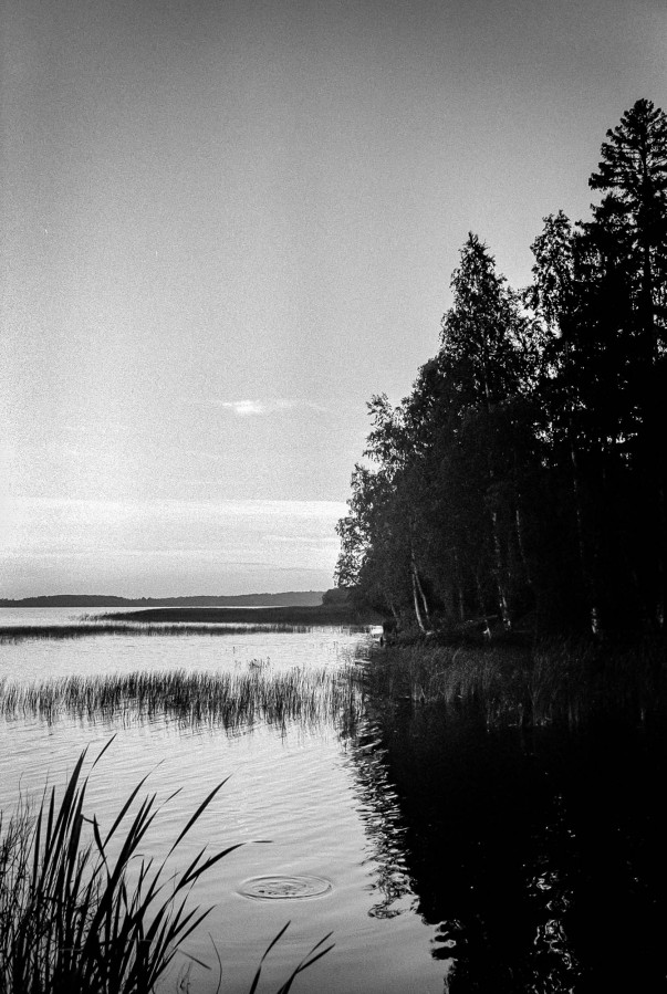 ZORKI_I_JUPITER_12_FOMAPAN_100_at_200_RDN-LQ_1x50_12_min_august_2022_241