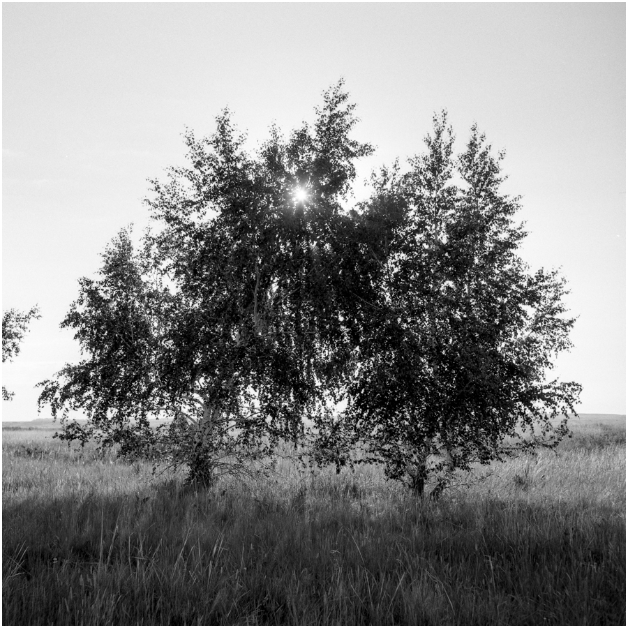 agfa-009-19-rf