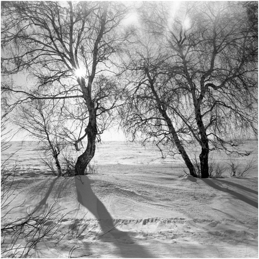 agfa-028-03-f-rf