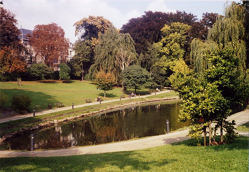 image1-11