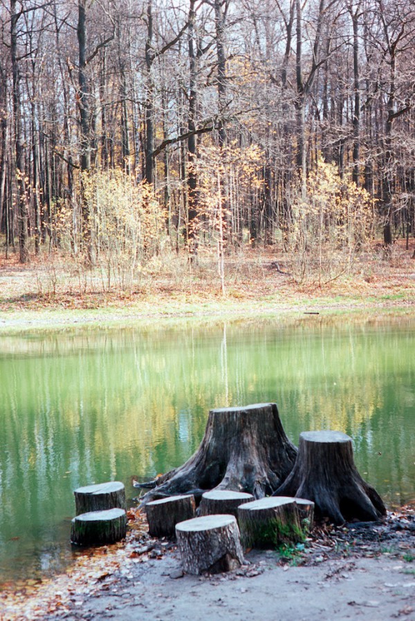 provia100fScan-191022-0019_copy