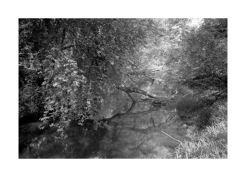 scan001610