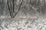 http://rangefinder.ru/glr/data/504/thumbs/36A_00034.jpg