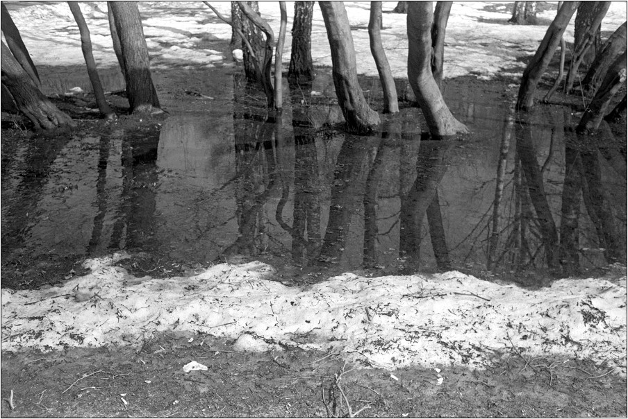 1804_PetriClr35_A125_019_preview
