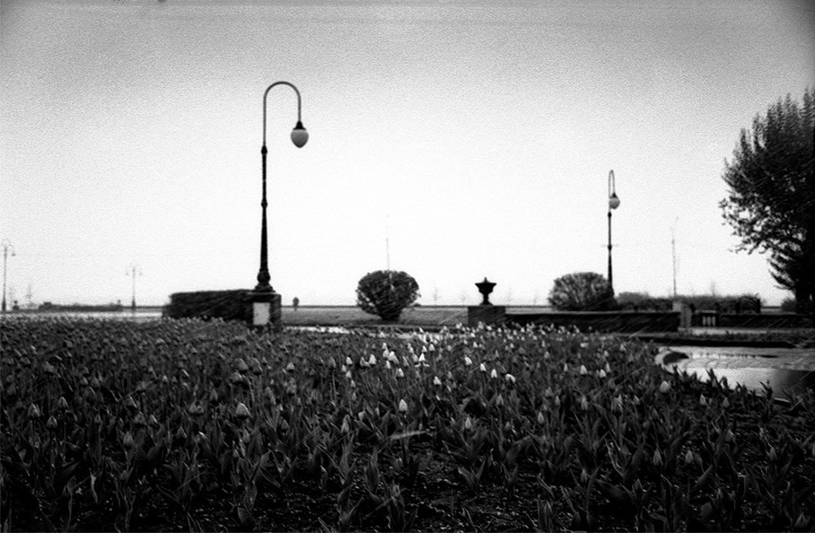 1Scan-140525-0001_-1