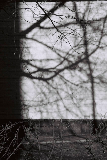 2025-07-18_23_50_47
