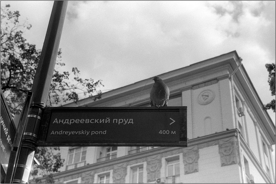 2405_K2J3_Foma400_03_web