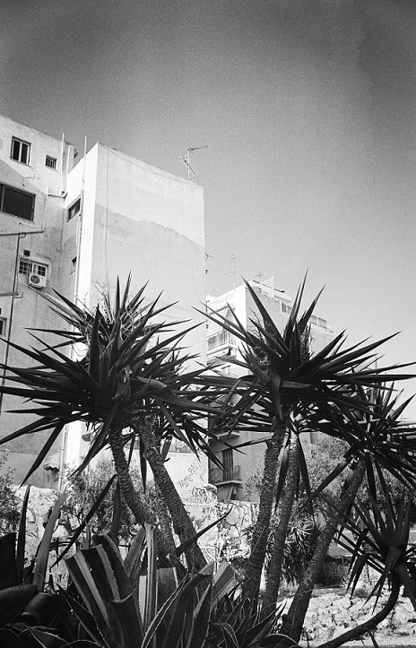 3_12_HP5_2023_4