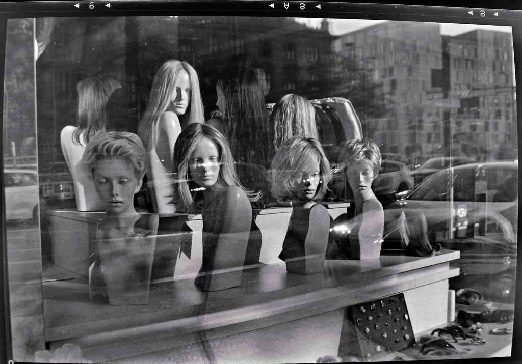 54662868217_0f954c2299_b