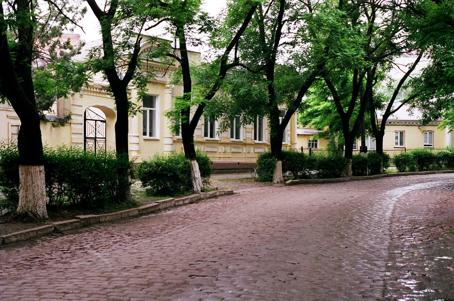 86450001_resize