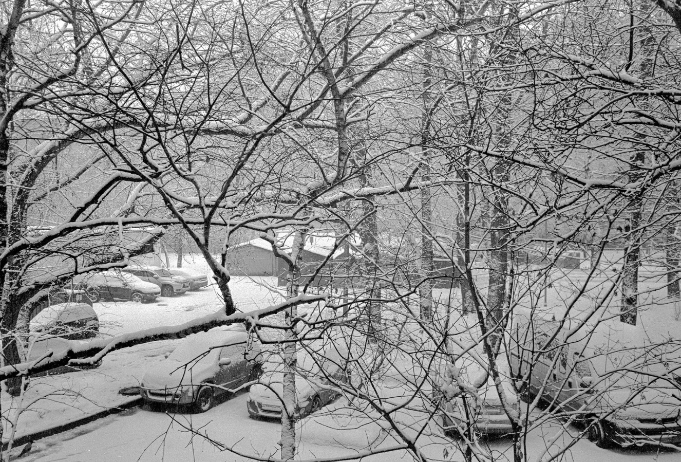 FED_2_ILFORD_PAN_100_at_400_D_76_1X1_20min_january_2021_161