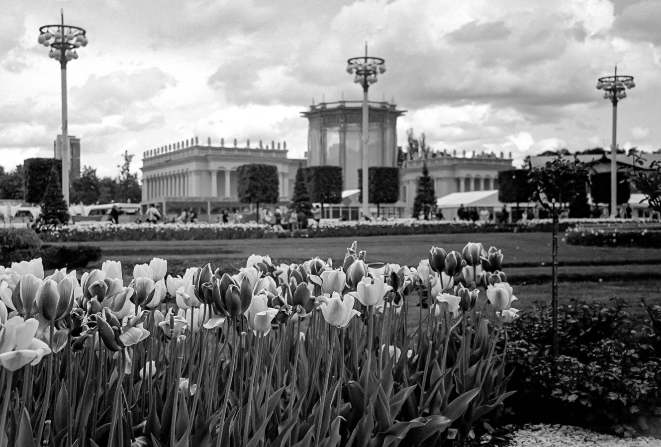 FED_2_JPITER_12_FOMA_100_at_200_D_76_1X1_14_min_may_2022_82