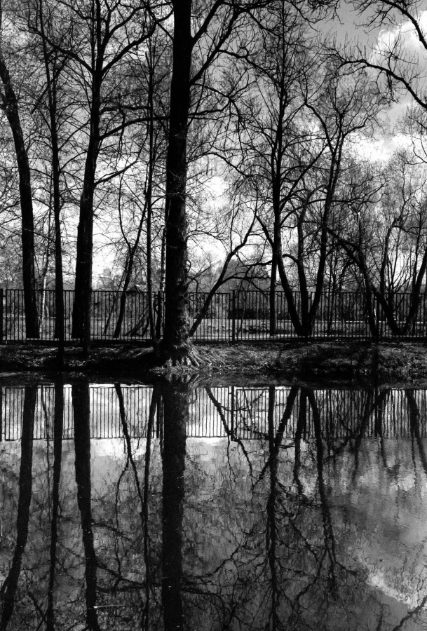 FED_2_JUPITER_12_FOMAPAN_100_at_200_XTOL_1-1_8_min_30_s_may_2021_60