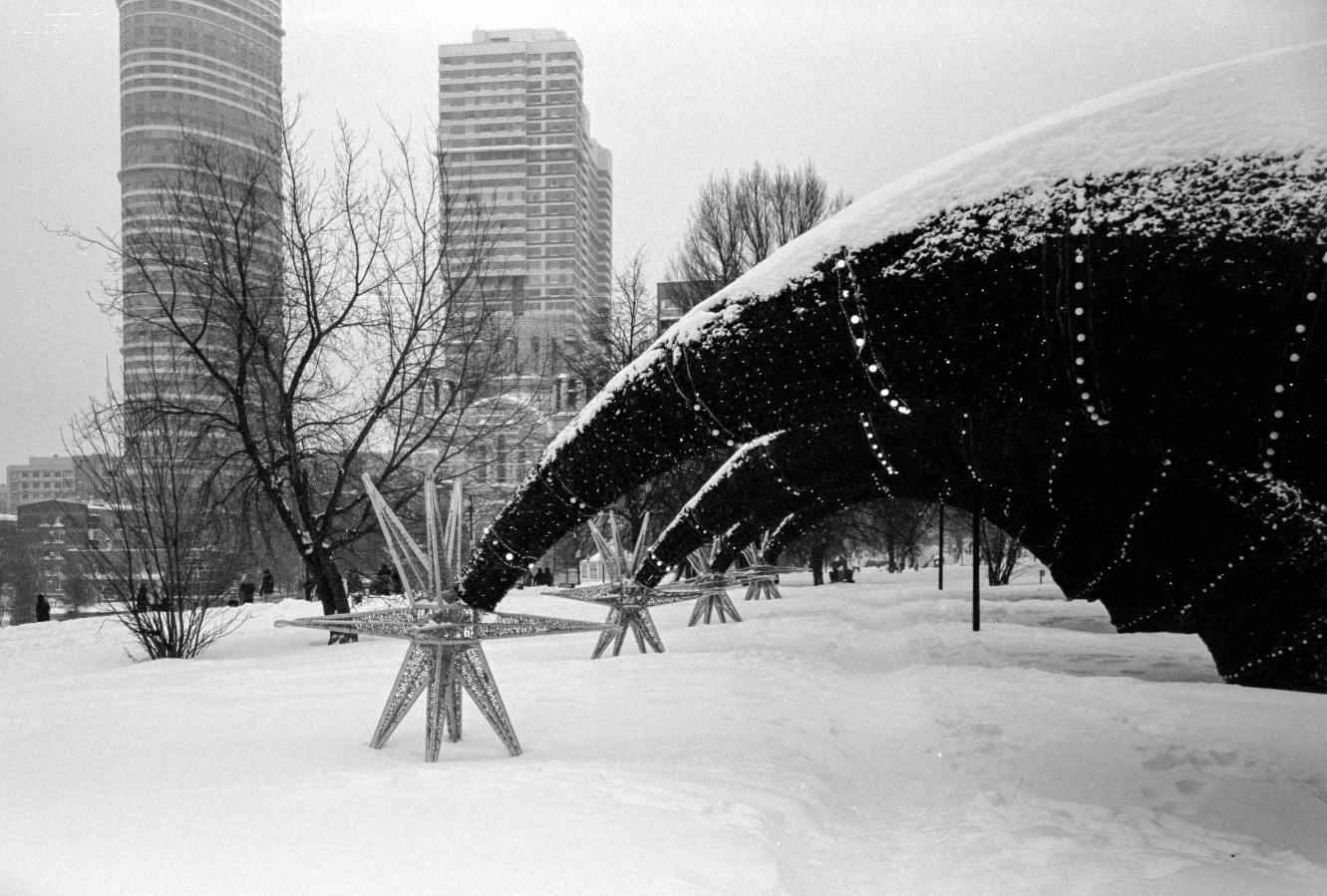 FED_2_KODAK_TMAX_100_D76_1X3_9_min_30_s_february_2021_26