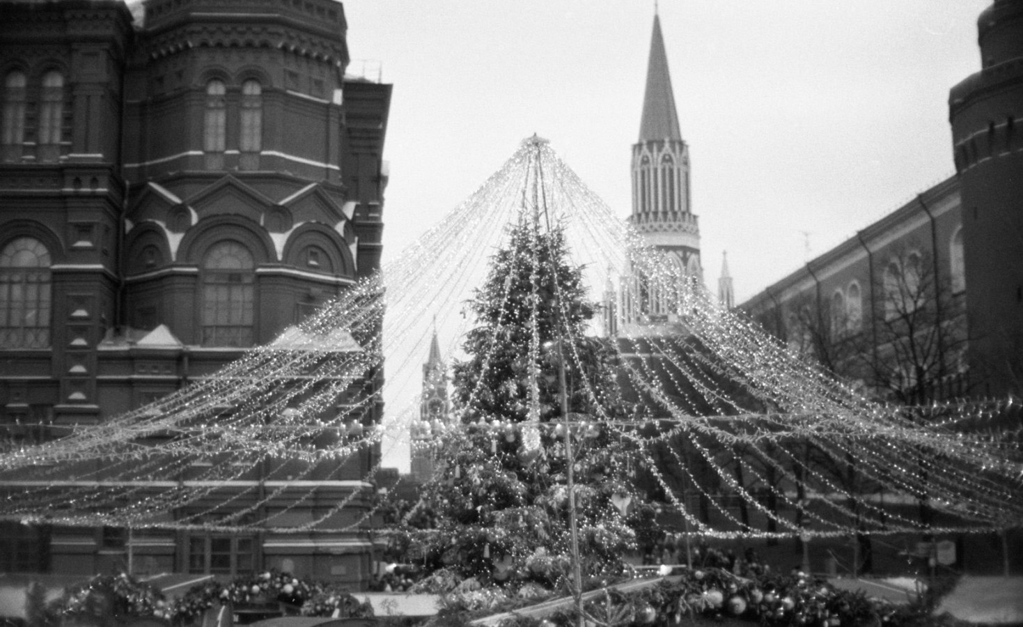 Fir