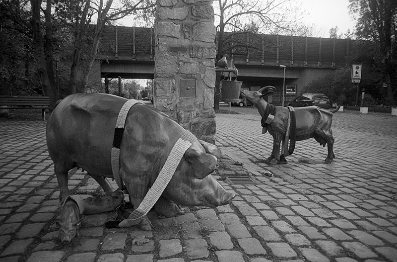Hannover--12-2013-Scopar-35mm