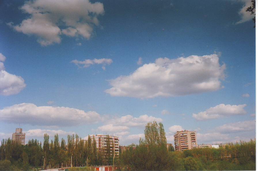IMAGE0029