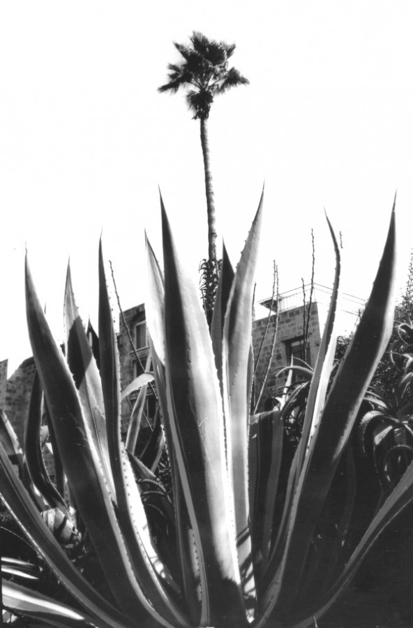 Image0135