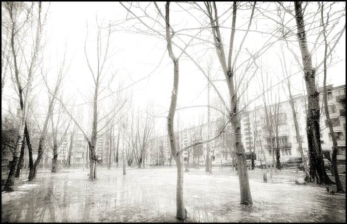 Piter-12