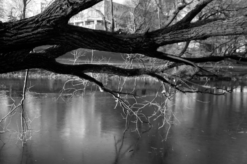 Untitled-Scanned-48_