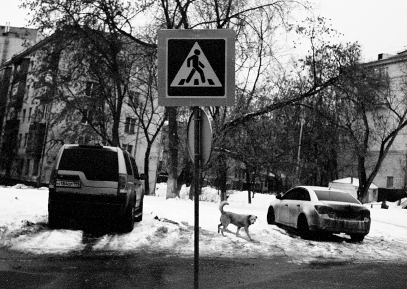 Untitled_24_4