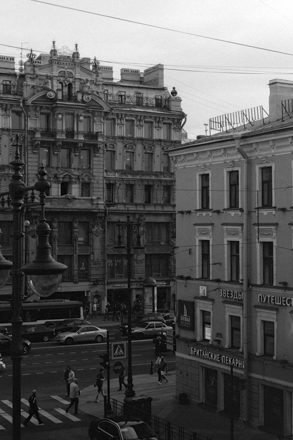 ZORKI_1_FOMAPAN_100_EX_at_400_RDN-LQ_1-100_26_min_06_2018_3