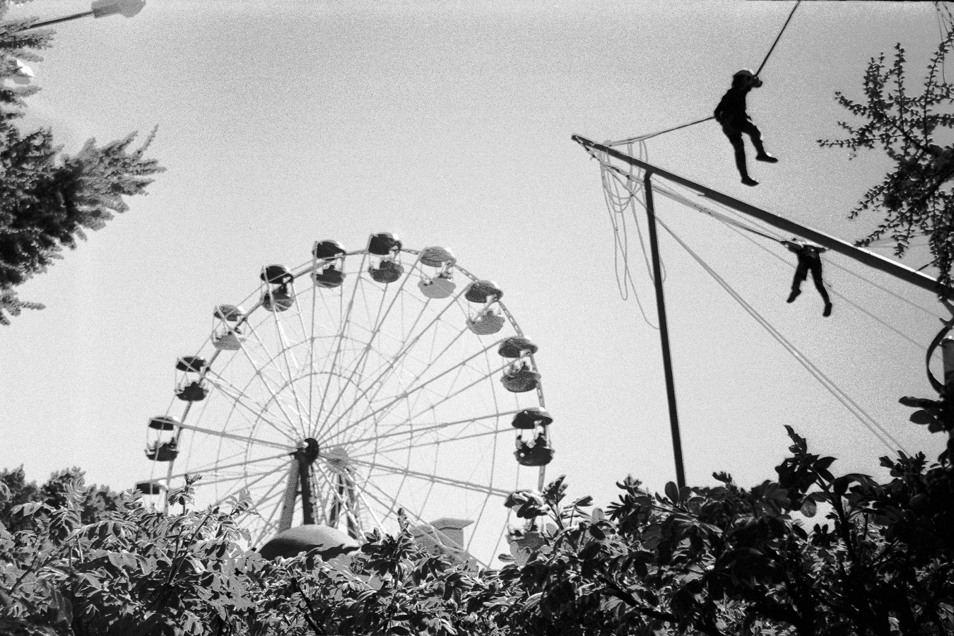 ZORKI_6_FOMAPAN_100_RDN-LQ_1-50_9_min_05_2018_2_