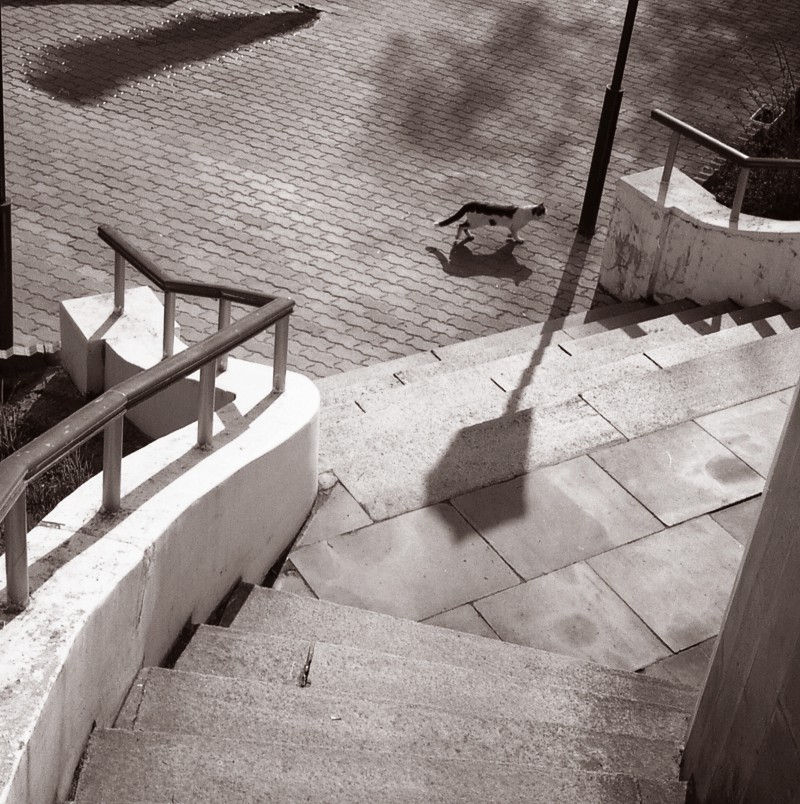 concurs1954