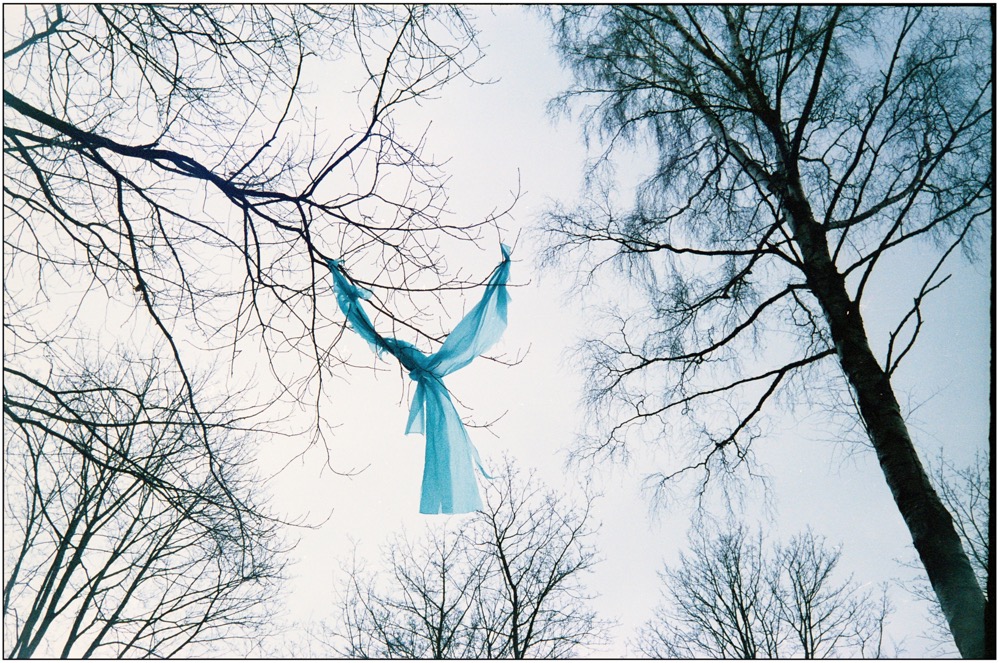 frame21_1