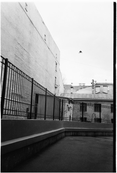 frame22_1_copy_2