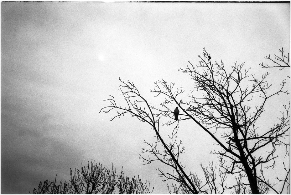 frame26_2