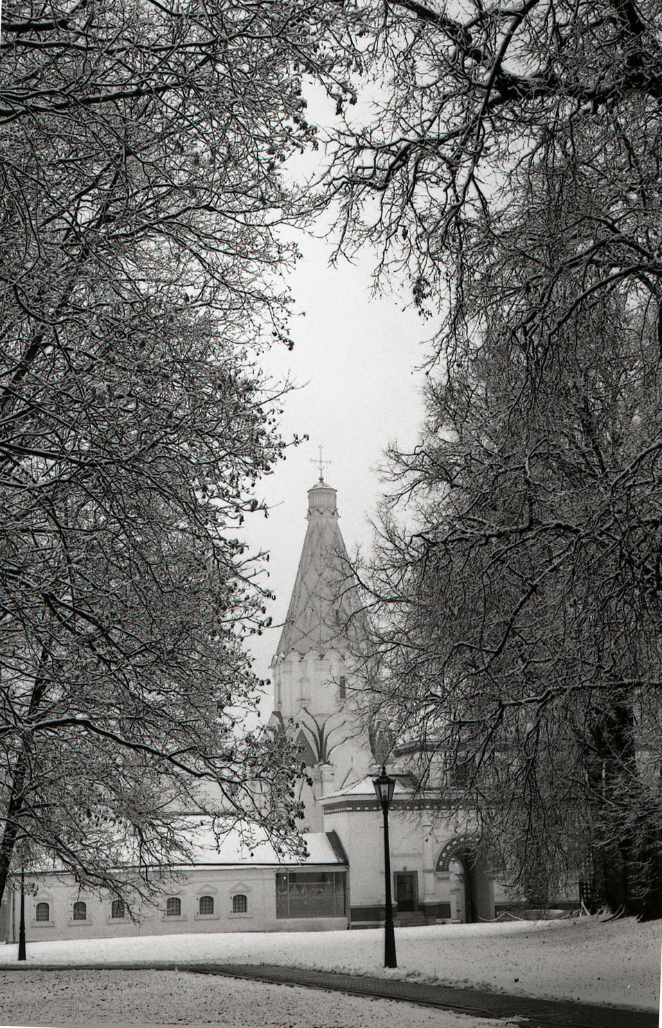 img051_copy_copy