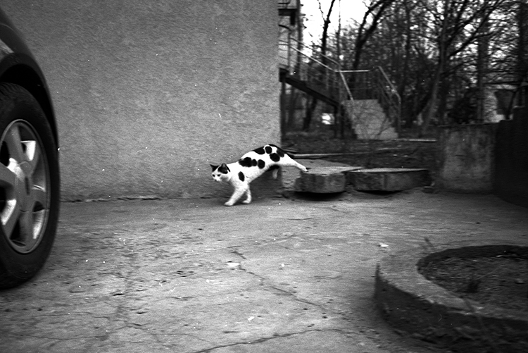 img113-1-2