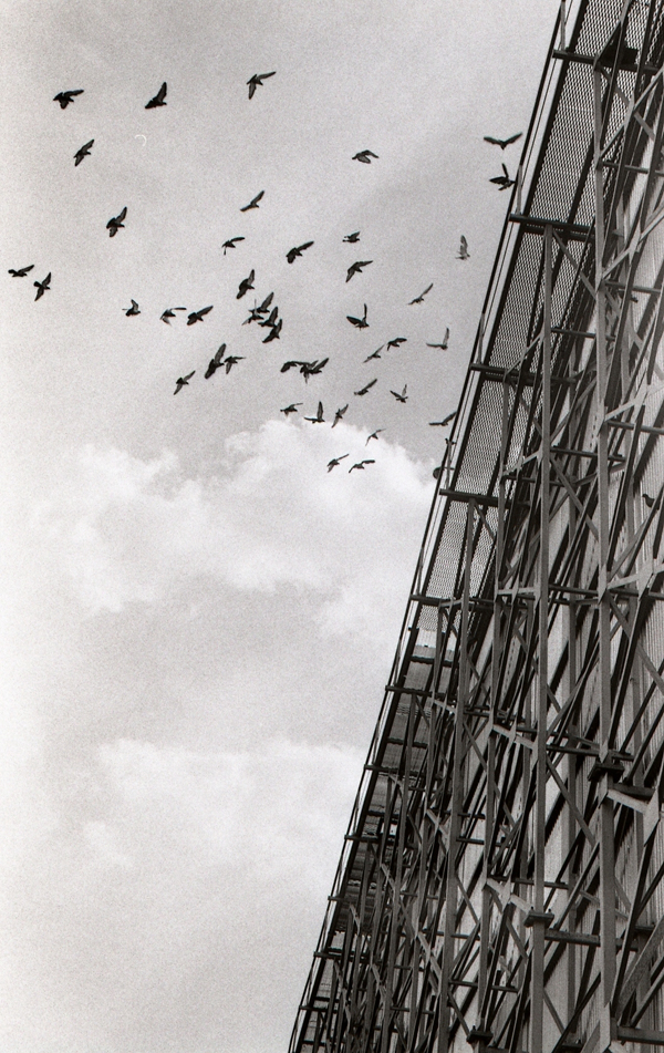 img707_copy