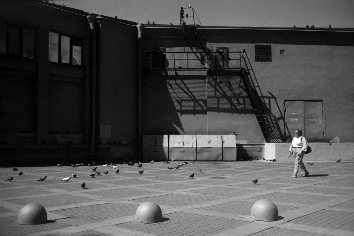 knn_YashicaElectro35CC-2_YashinonDX35mm1_8_2024_32_2_8-250_7_-200_03_1969_iso12_-23_20_8_1_1200