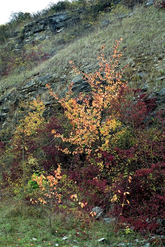 0035-11