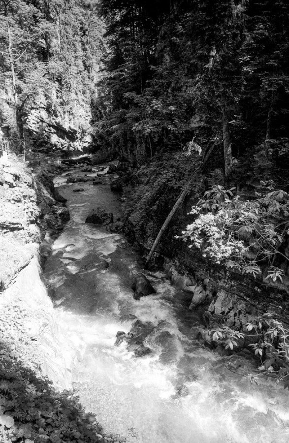 20180604-M7_Elm28mm_FP4_Rodinal1_25_VS_N_2_2018-06-03-0035