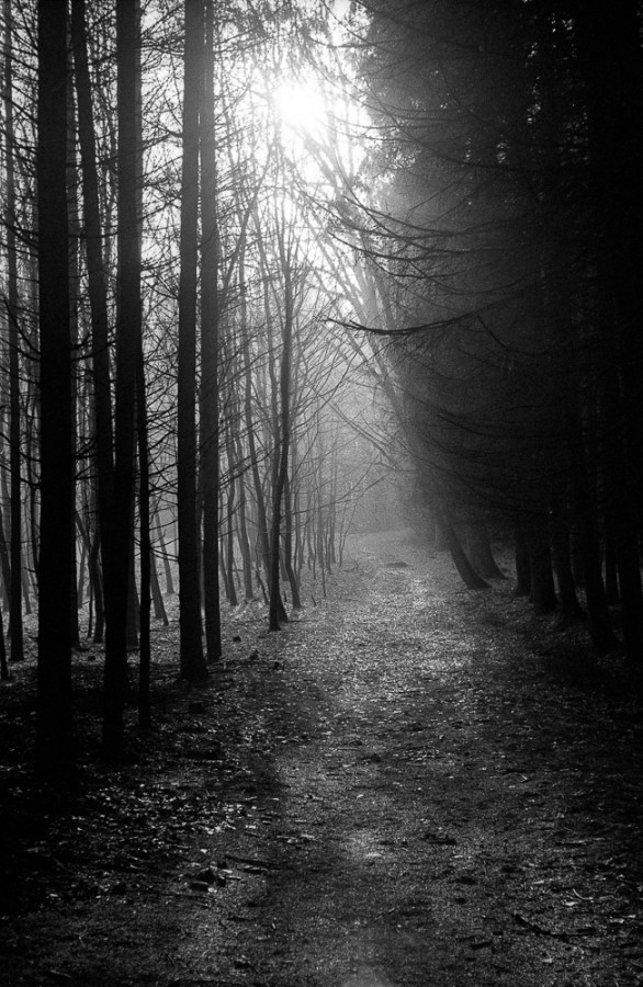 20181202-M6_Summitar_A1252018-12-02-0001_160_Rodinal_1_25_6_30min_19grad_VS_N_YYYY-MM-DD-0029