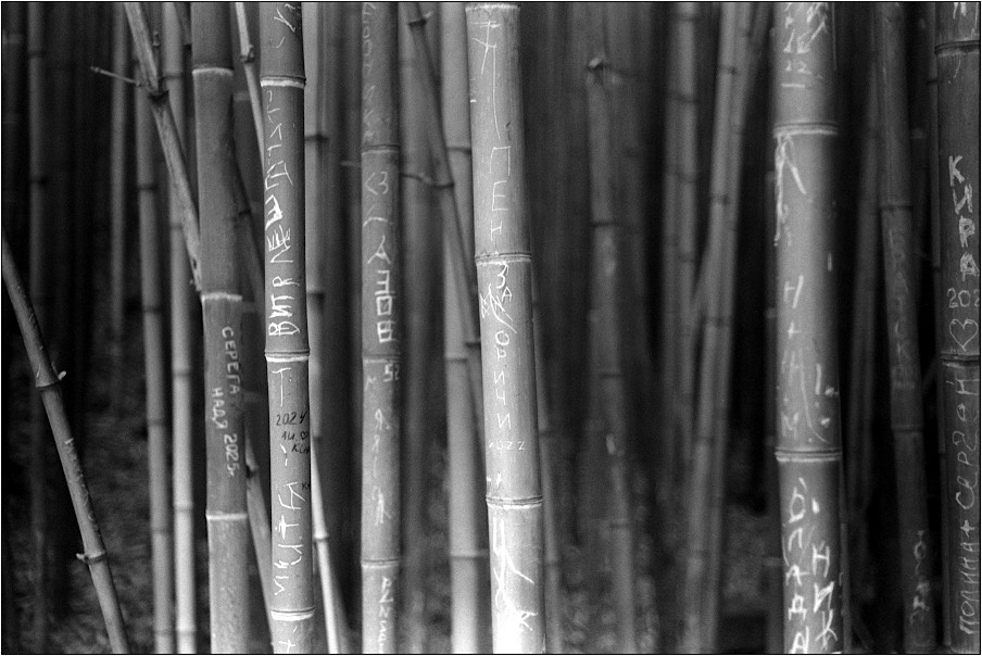 2510_S2N50_HP5_002_web