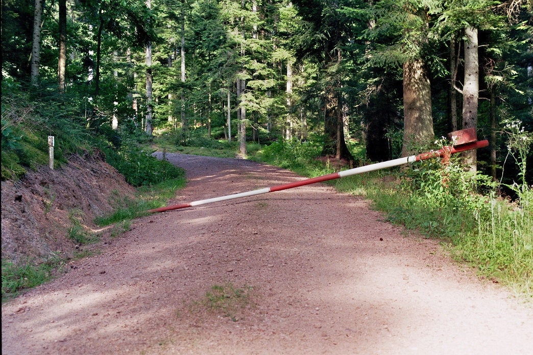 Bild016_Neg_Nr_17A