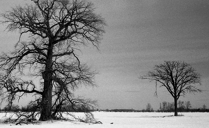 FED2_I26M_FP400_Rodinal_March_2014328