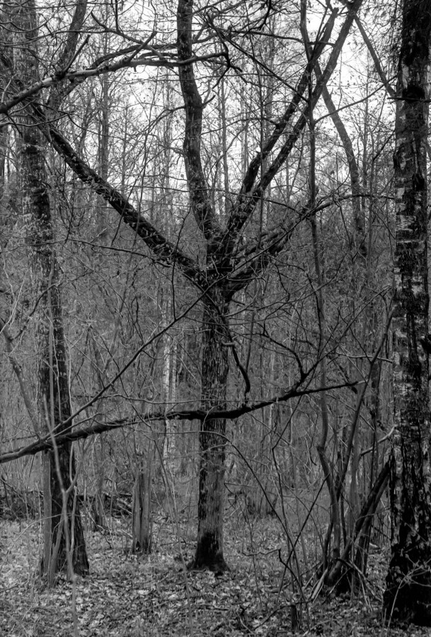 FED_2_JUPITER_12_FOMAPAN_100_at_200_XTOL_1-1_8_min_30_s_may_2021_07