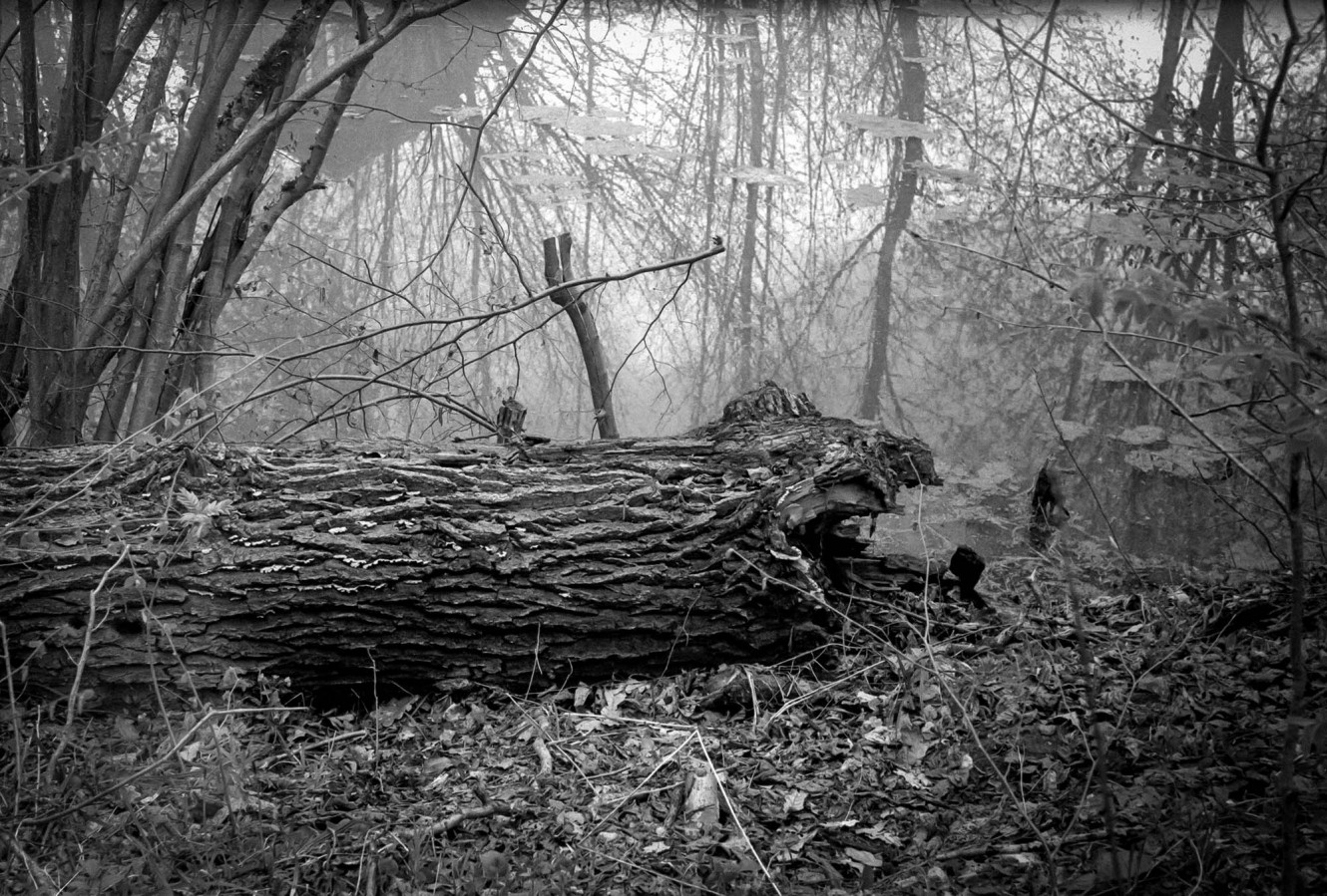 FED_2_JUPITER_12_FOMAPAN_100_at_200_XTOL_1-1_8_min_30_s_may_2021_08