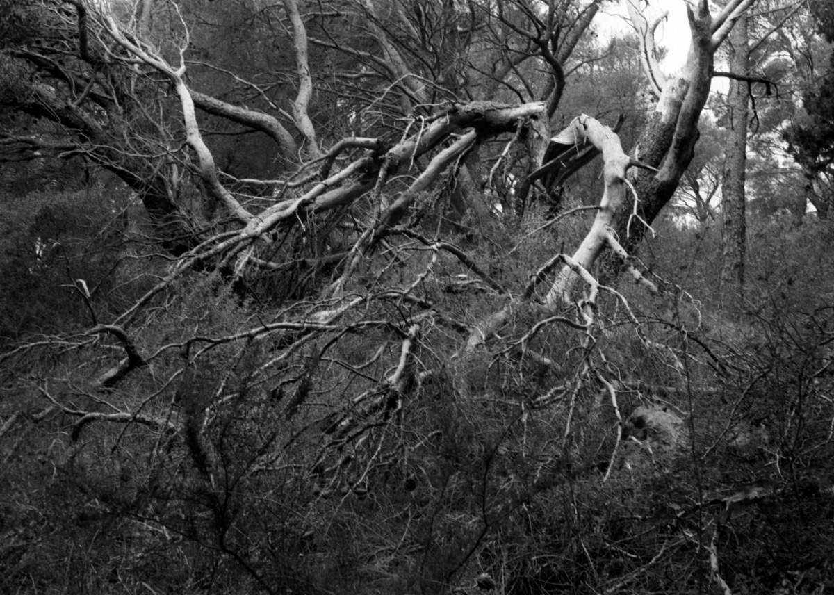 F_0640_018_1200