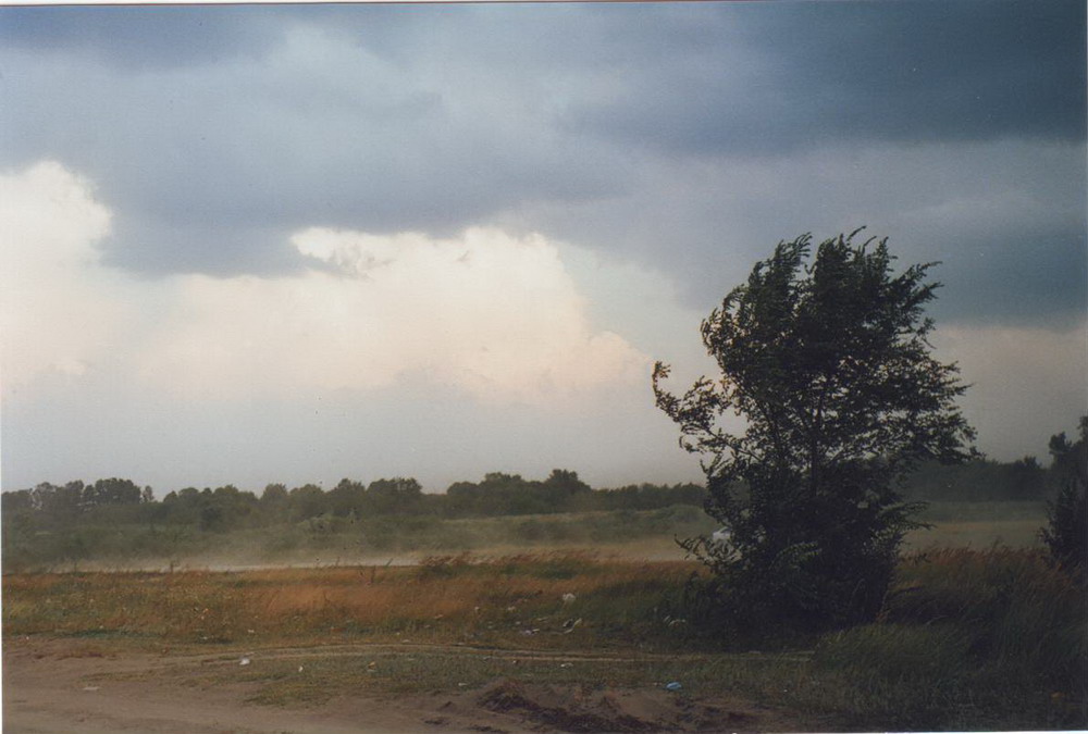 IMAGE0025