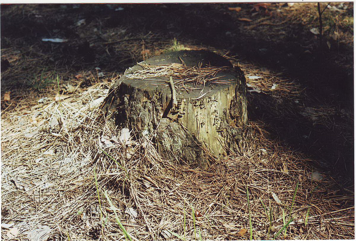 IMAGE0034
