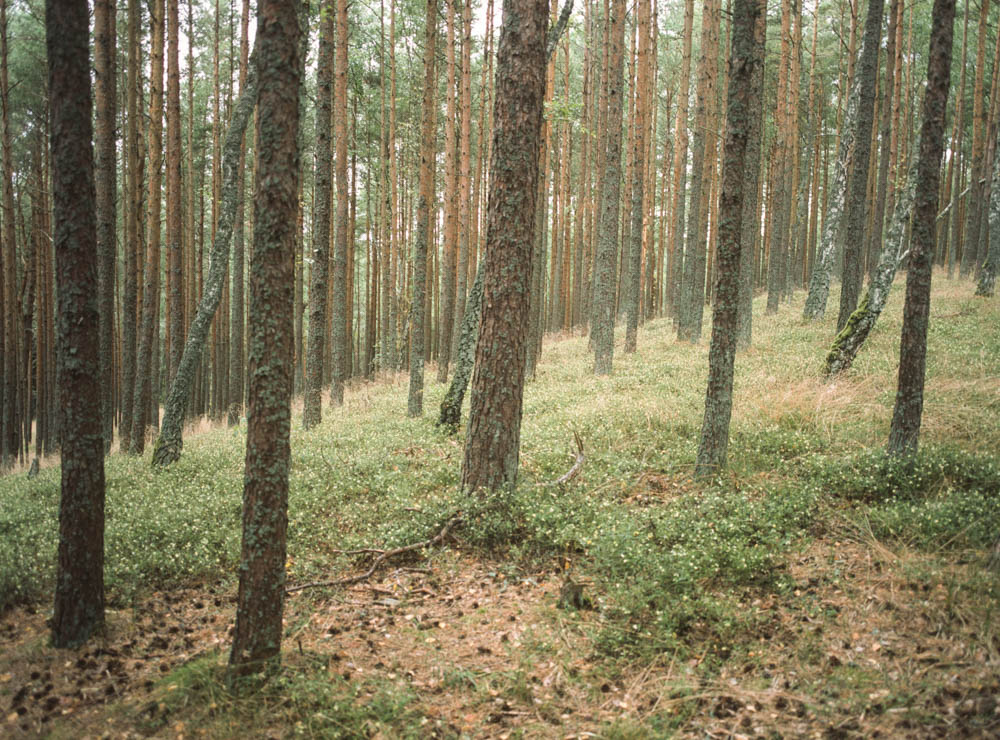 Kaliningrad-2-4