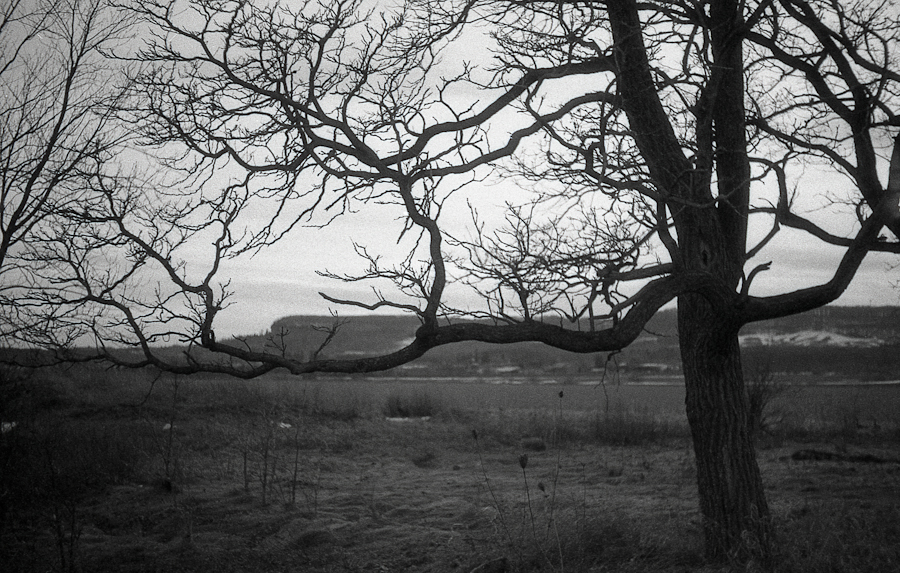 M4_2_I22_FP400_200_Rodinal5_5min_10minFixer_March_2014585