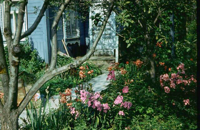 Resize_of_image0056